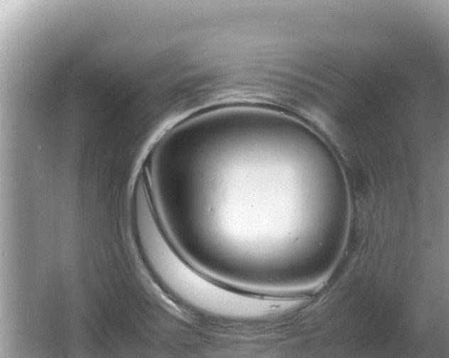 X0000064731371200602131239