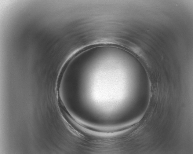 X0000064731372200602131239