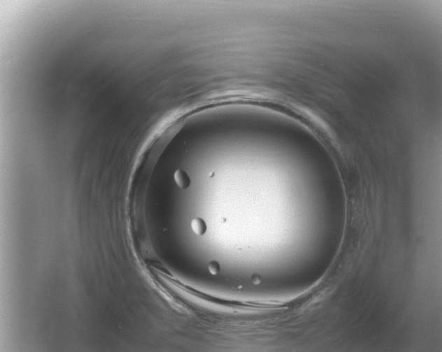 X0000064731373200602131239