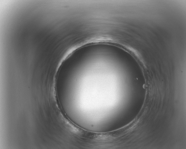 X0000064731374200602131239