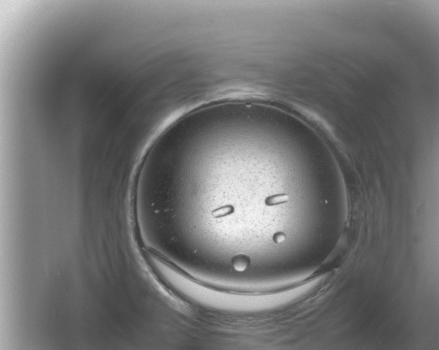 X0000064731375200602131239