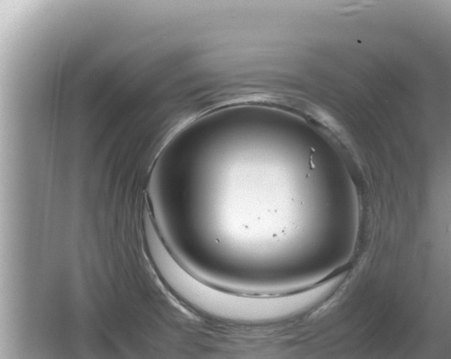 X0000064731377200602131239