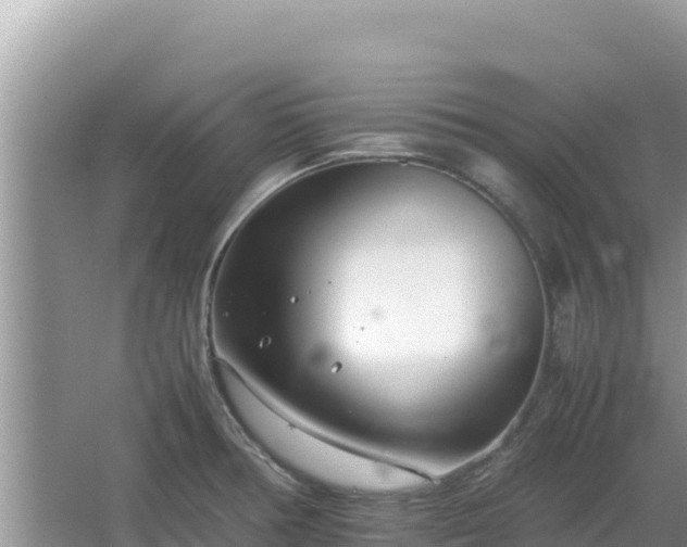 X0000064731378200602131239