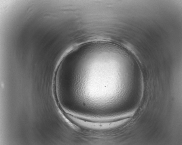 X0000064731379200602131239