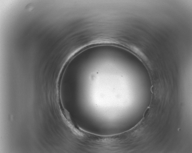 X0000064731380200602131239