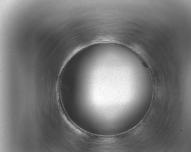 X0000064731382200602131239