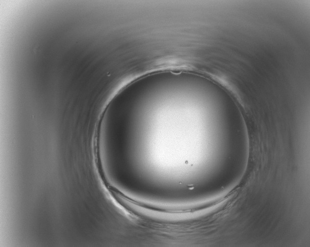 X0000064731383200602131239