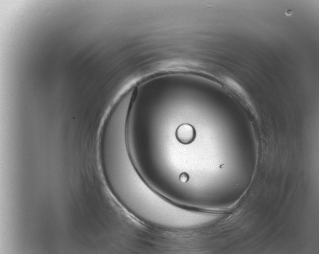 X0000064731384200602131239