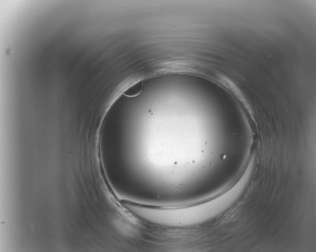 X0000064731386200602131239