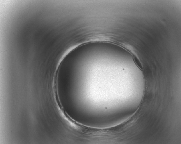 X0000064731387200602131239