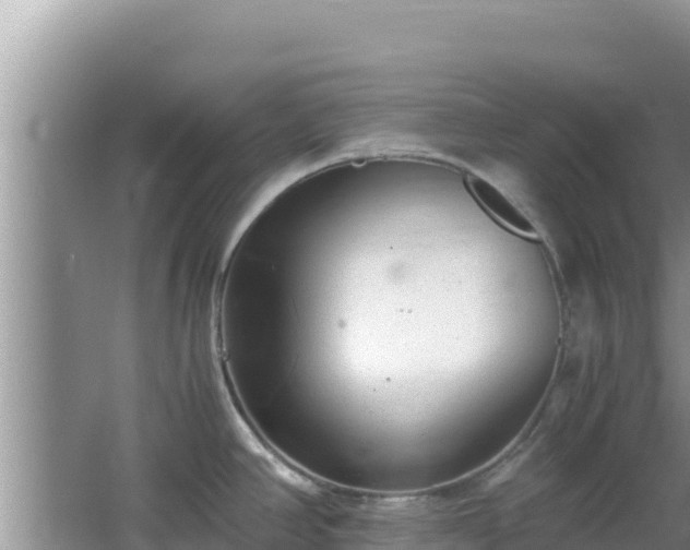 X0000064731390200602131239