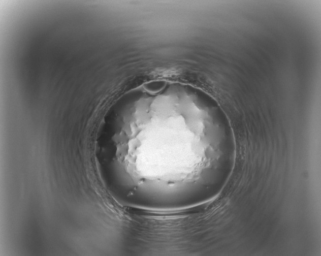 X0000064731393200602131238