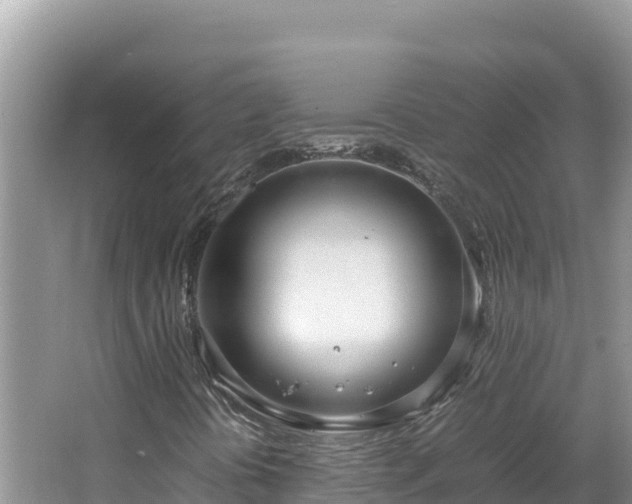 X0000064731394200602131238