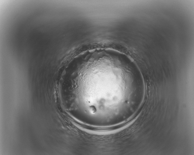 X0000064731397200602131238