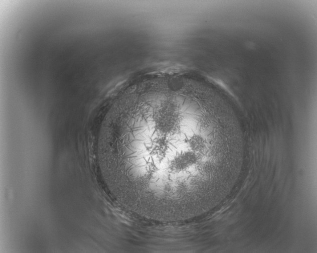 X0000064731399200602131238