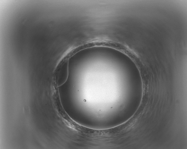 X0000064731400200602131238