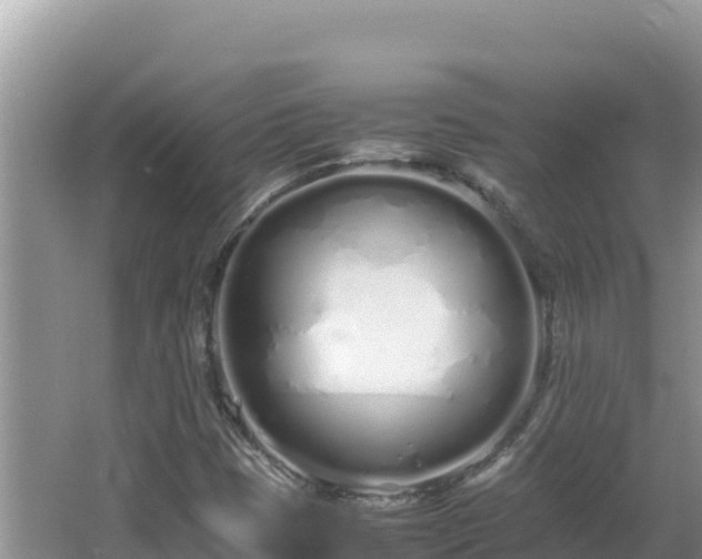 X0000064731401200602131238