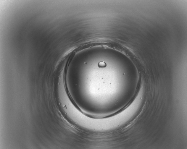 X0000064731402200602131238