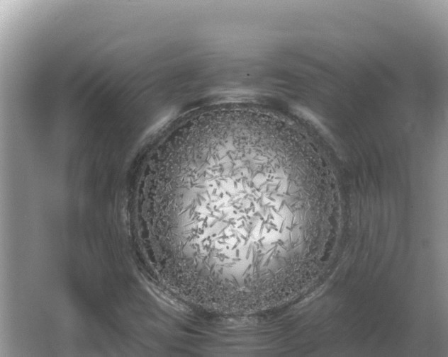 X0000064731403200602131238