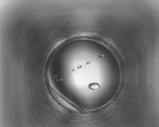 X0000064731404200602131238