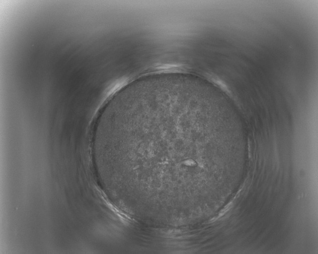 X0000064731405200602131238