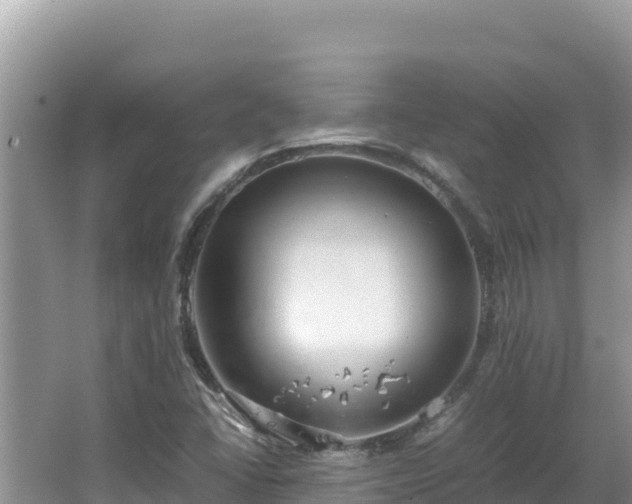 X0000064731406200602131238