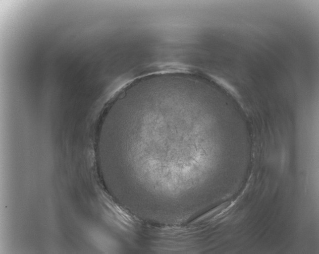 X0000064731407200602131238