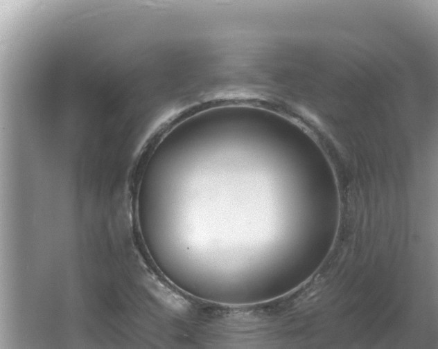 X0000064731408200602131238