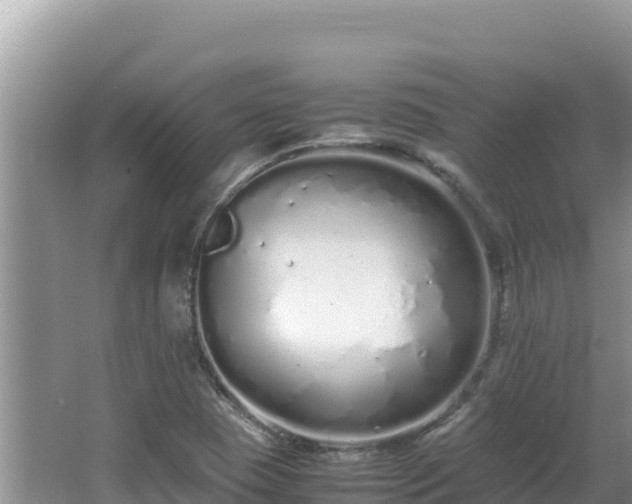 X0000064731409200602131238