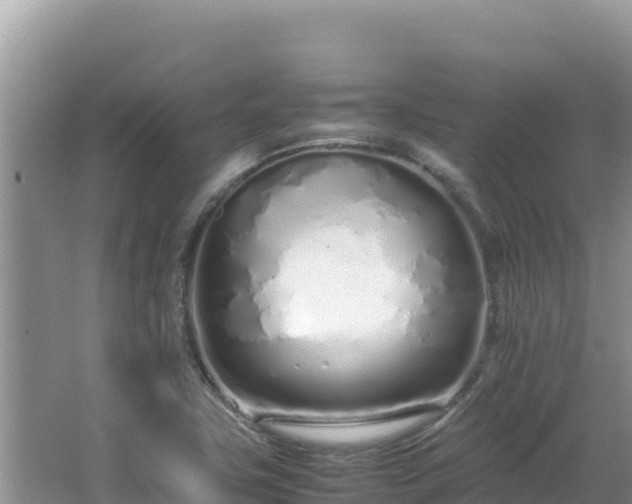 X0000064731411200602131238