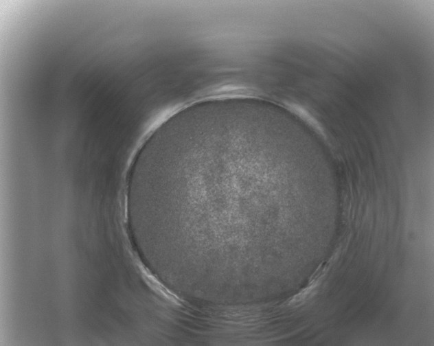 X0000064731413200602131238