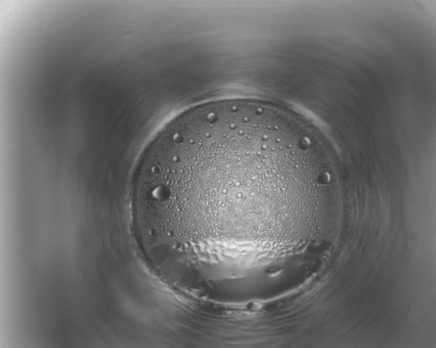 X0000064731415200602131238