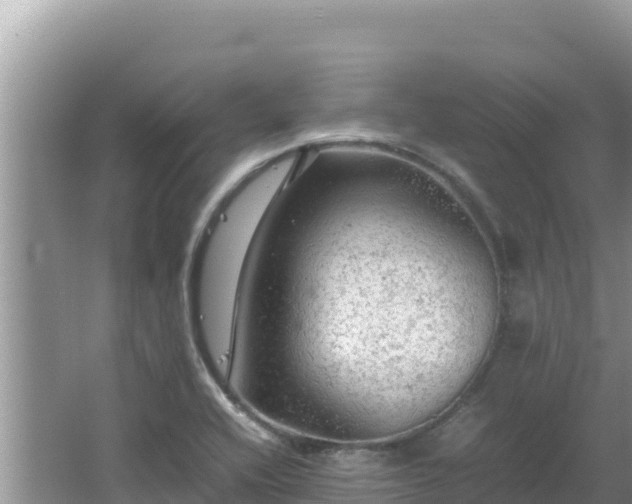 X0000064731416200602131238