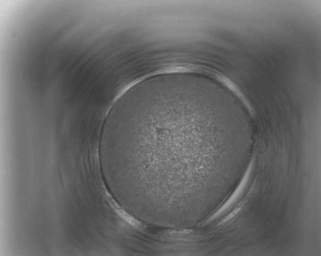 X0000064731417200602131238