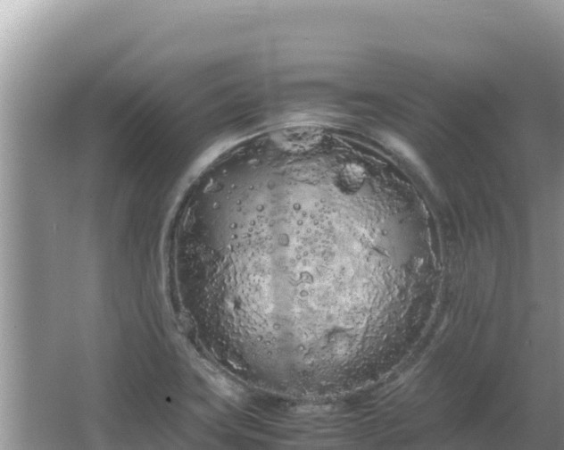 X0000064731419200602131238