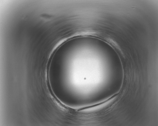 X0000064731420200602131238