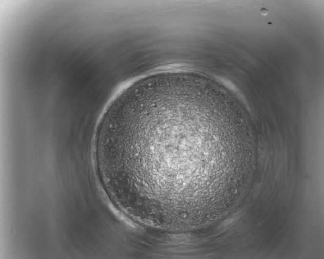 X0000064731421200602131238