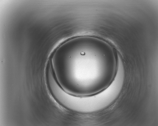 X0000064731422200602131238