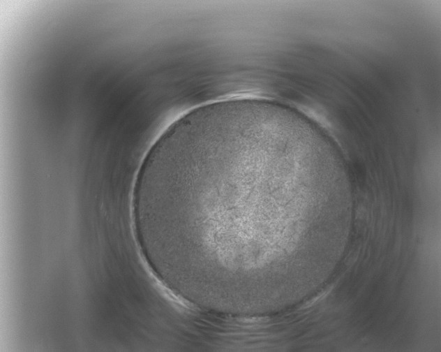 X0000064731423200602131238