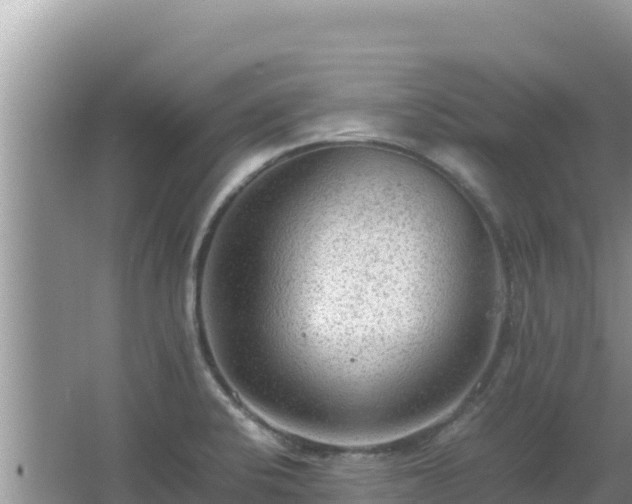 X0000064731424200602131238