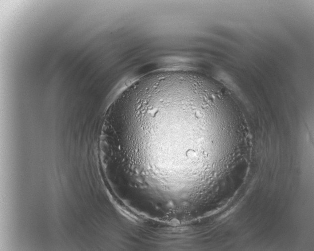 X0000064731425200602131238