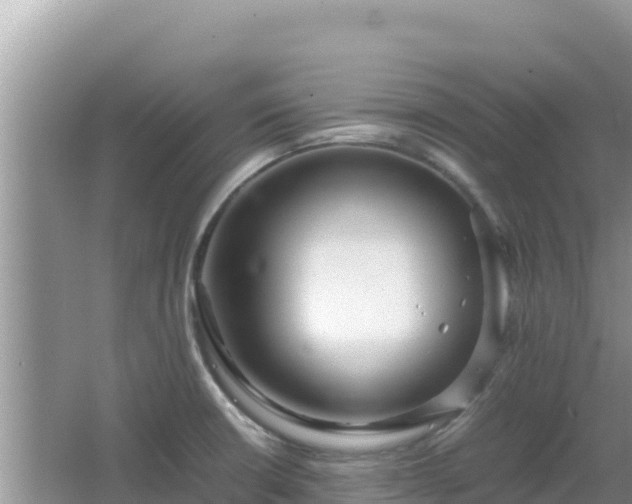 X0000064731426200602131238