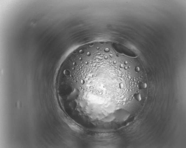 X0000064731427200602131238