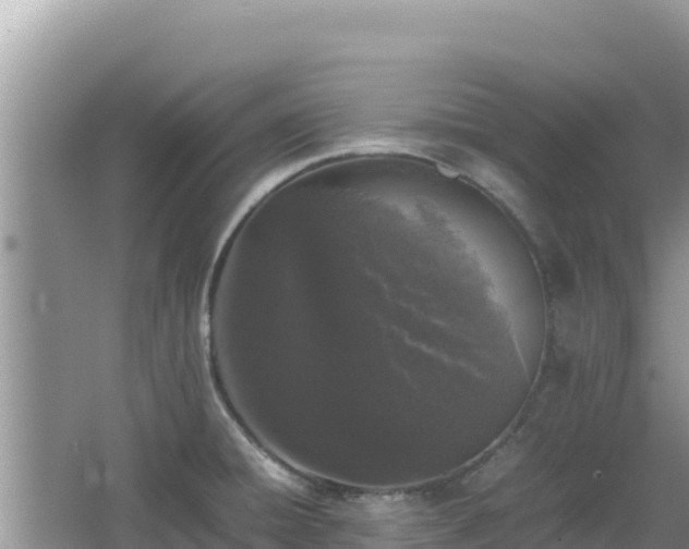 X0000064731428200602131238