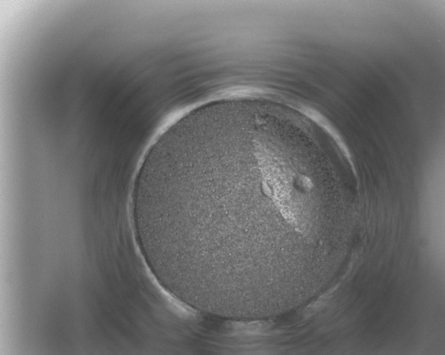 X0000064731429200602131238