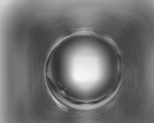 X0000064731430200602131238