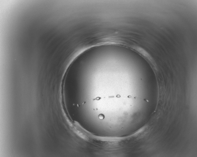 X0000064731431200602131238