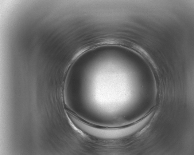 X0000064731433200602131239