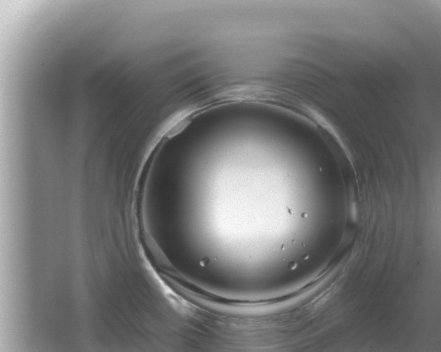 X0000064731434200602131239