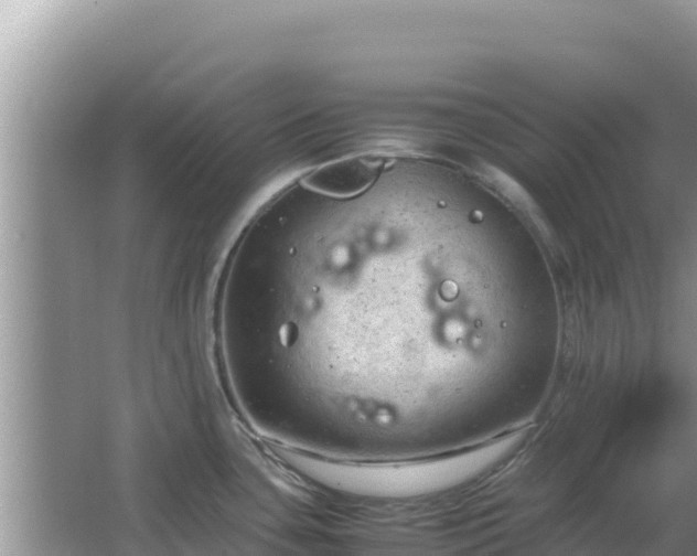 X0000064731435200602131239